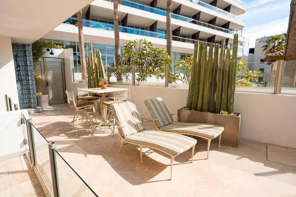 Departamento En Corazon De Cabo A Pasos De Playa Apartamento Cabo San Lucas México